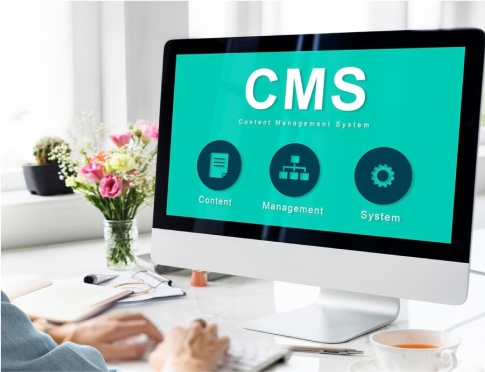 Content Management System (CMS)